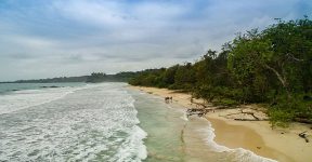 O que fazer em Bocas del Toro: Red Frog Beach