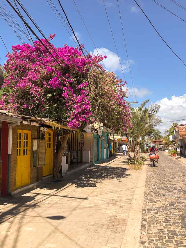 Rua da Pituba, Itacaré - Bahia