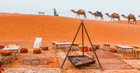 Roteiro de 9 dias no Marrocos Camelos no Deserto do Saara
